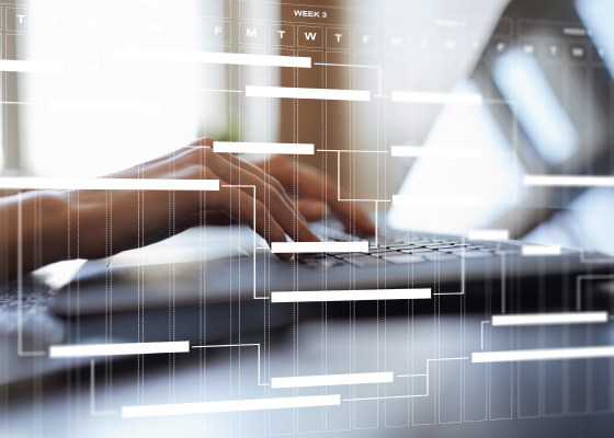 Program and Project Management